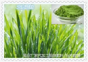 青錢柳苗市場(chǎng)價(jià)格、常見型號(hào)及選購(gòu)指南